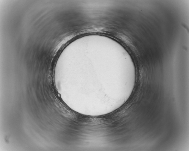 X0000102251308200808151808