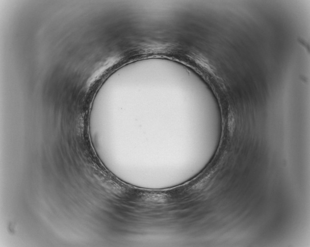 X0000102251309200808151808