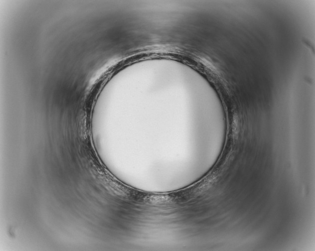 X0000102251310200808151808