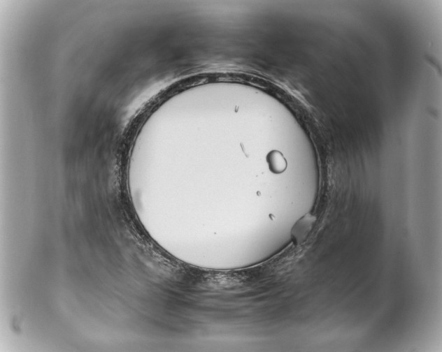 X0000102251311200808151808