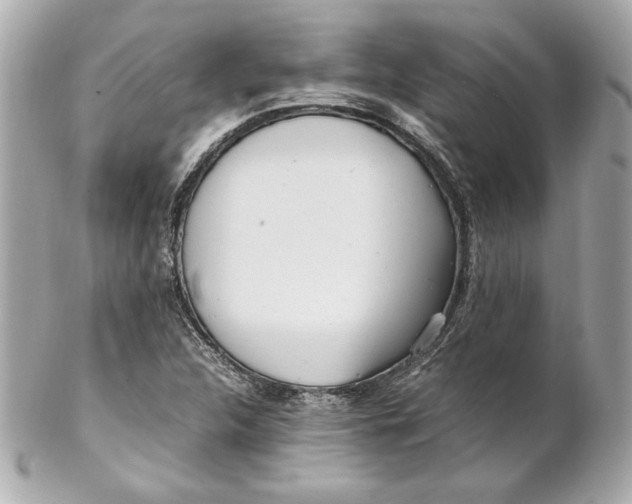 X0000102251312200808151808