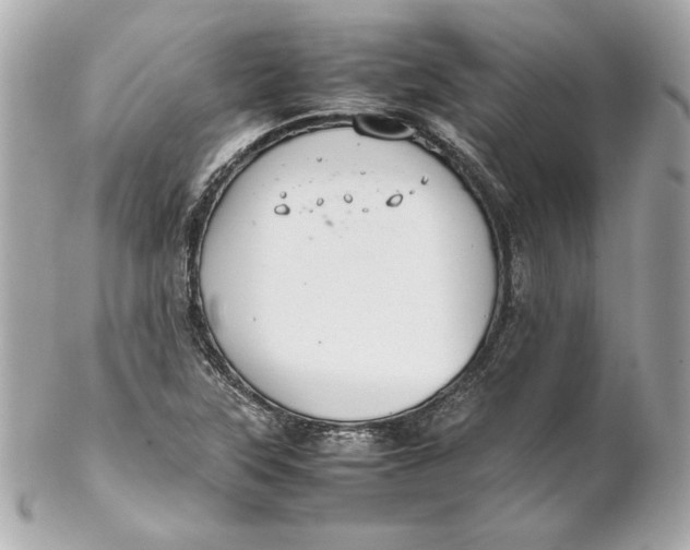 X0000102251315200808151808