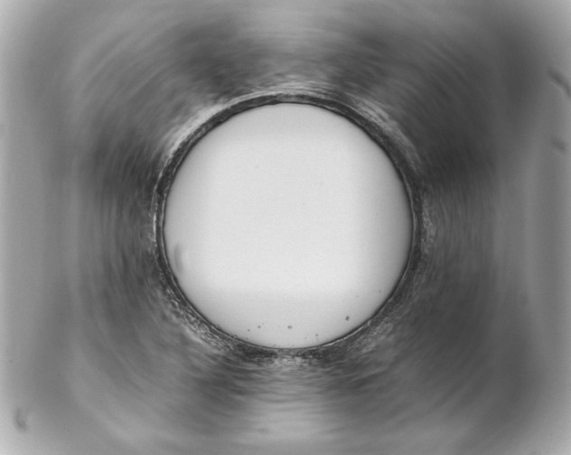 X0000102251316200808151808