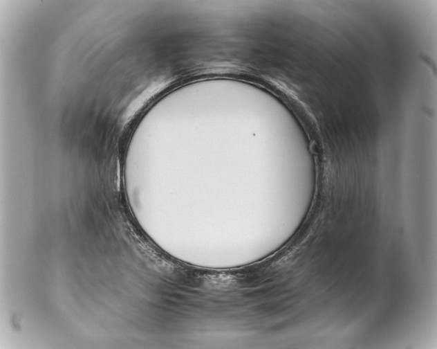 X0000102251317200808151808