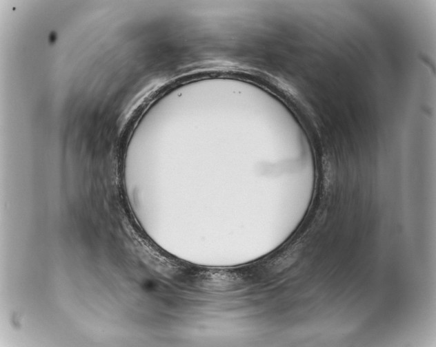 X0000102251318200808151808