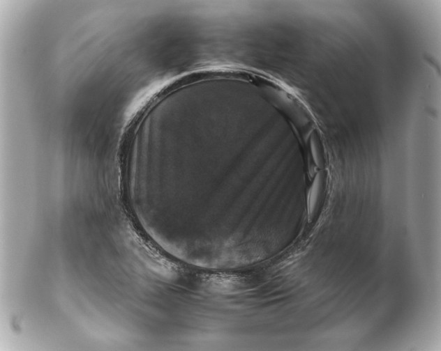 X0000102251319200808151808