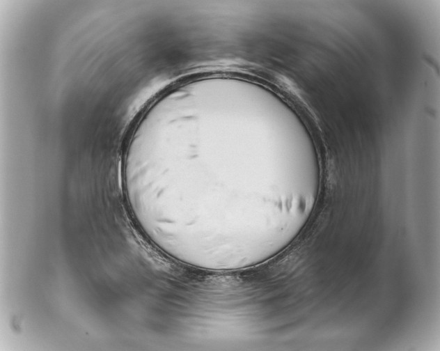 X0000102251320200808151808