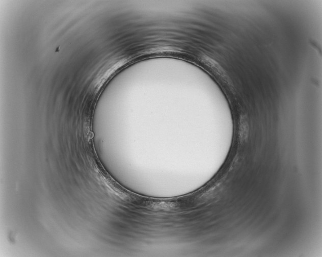 X0000102251321200808151808