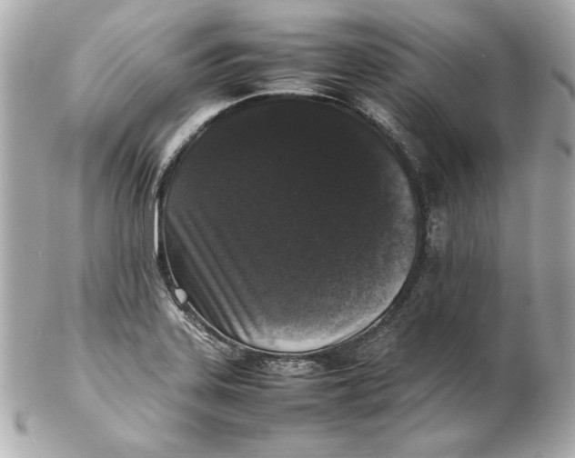 X0000102251323200808151808