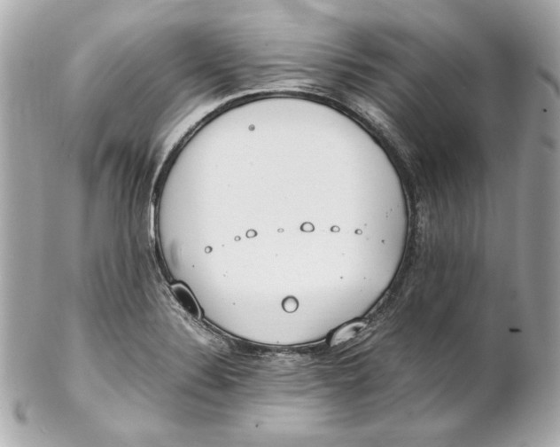 X0000102251324200808151808