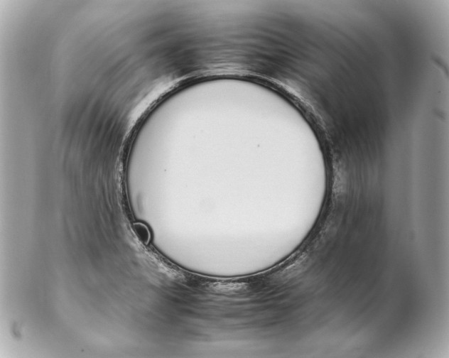 X0000102251325200808151808