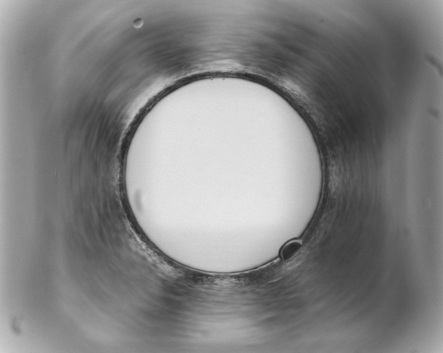 X0000102251326200808151808