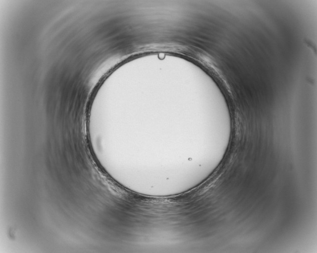 X0000102251328200808151808