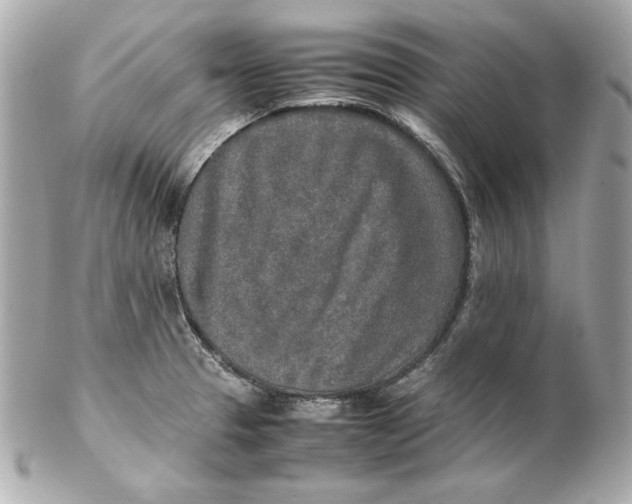 X0000102251329200808151808