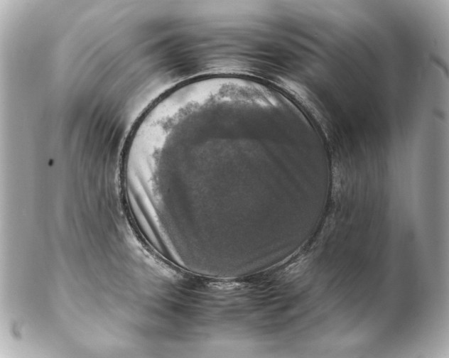 X0000102251331200808151808