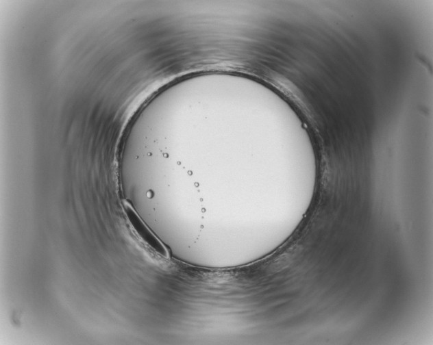 X0000102251332200808151808