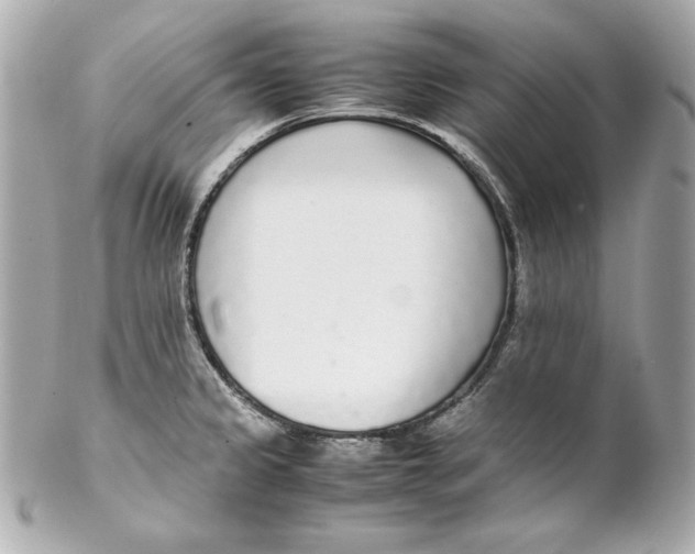 X0000102251333200808151808