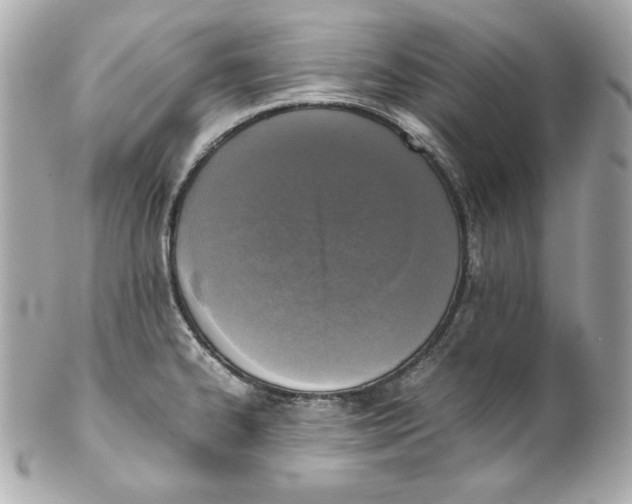 X0000102251334200808151808