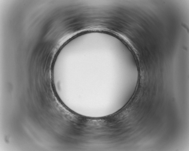 X0000102251335200808151808