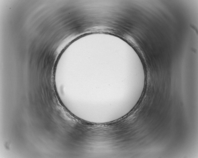 X0000102251336200808151808