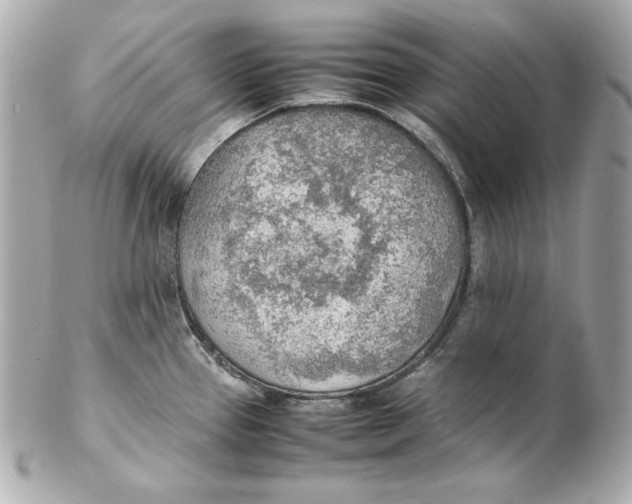 X0000102251337200808151808