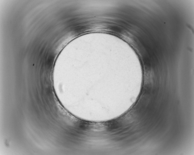 X0000102251338200808151808