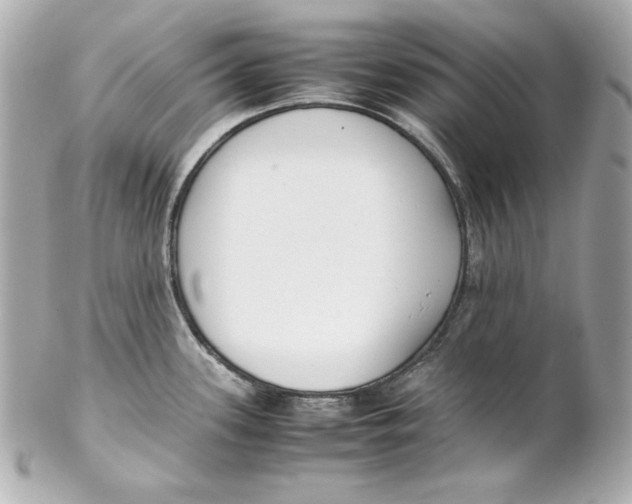 X0000102251339200808151808