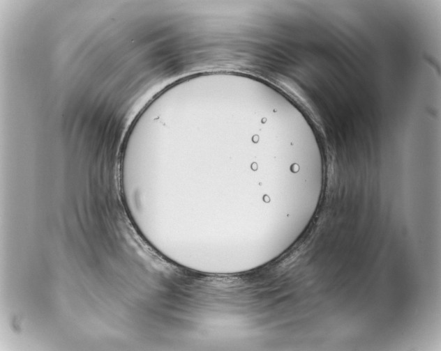 X0000102251340200808151808