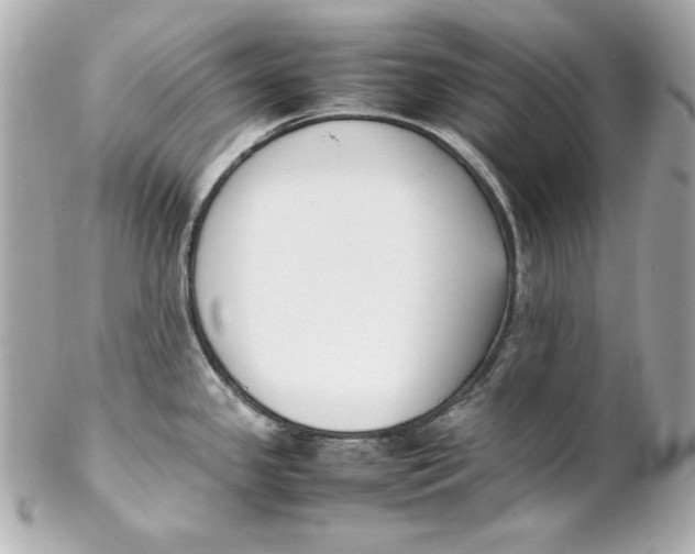 X0000102251341200808151808