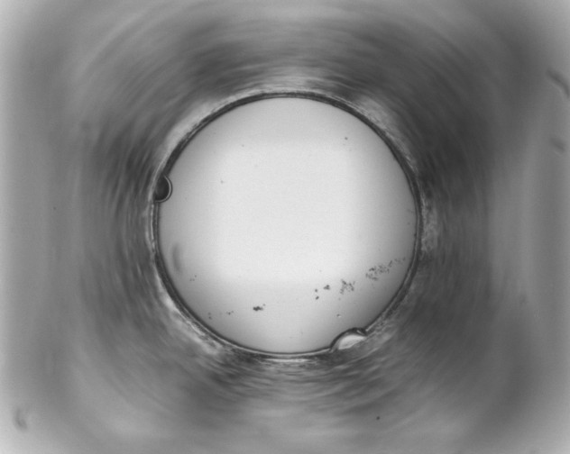 X0000102251342200808151808