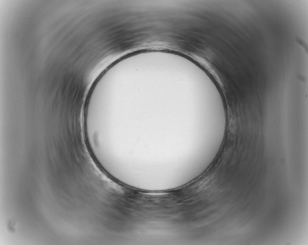 X0000102251343200808151808