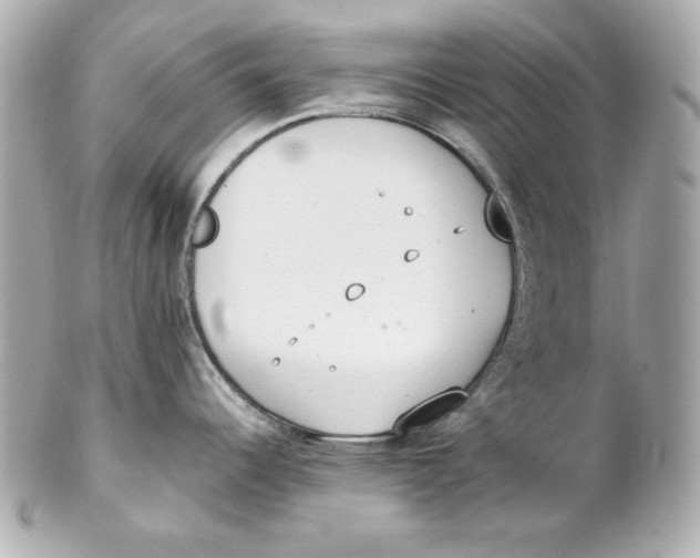 X0000102251344200808151808