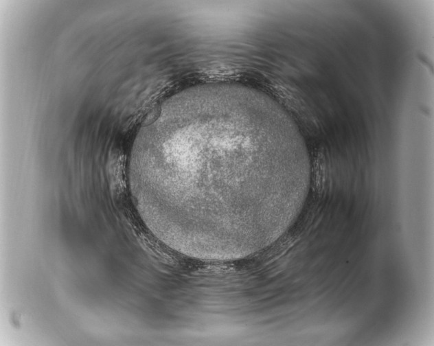 X0000102251346200808151807