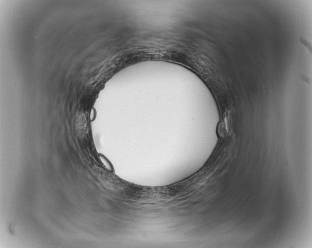 X0000102251347200808151807