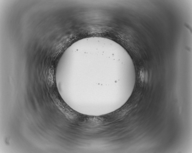 X0000102251348200808151807