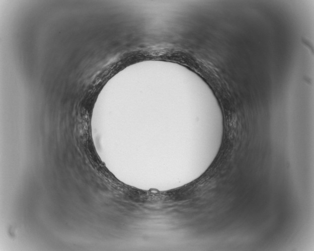 X0000102251349200808151807