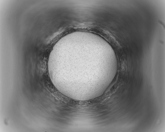 X0000102251350200808151807