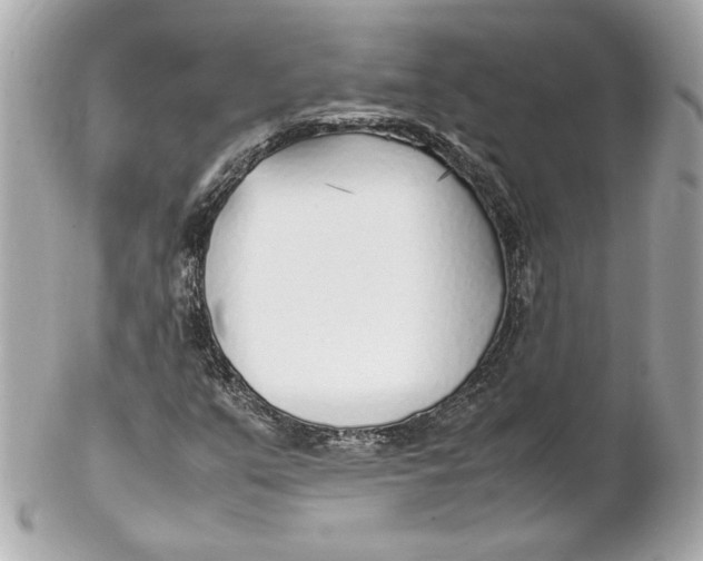 X0000102251351200808151807