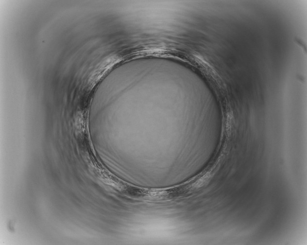 X0000102251353200808151807