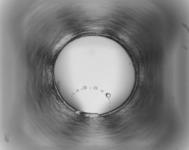 X0000102251354200808151807