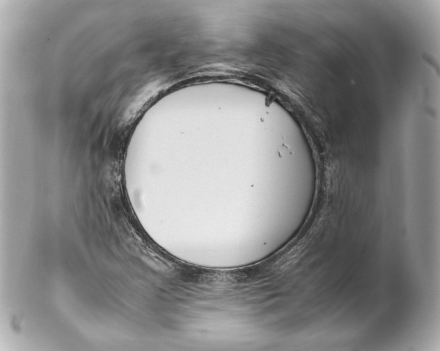 X0000102251355200808151807