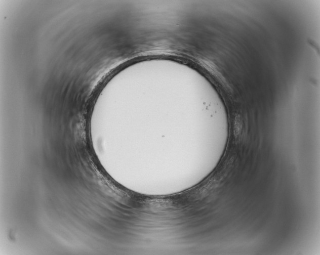 X0000102251356200808151807