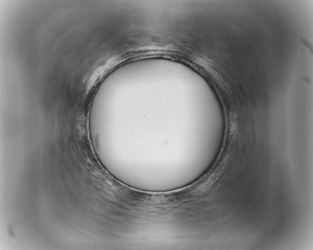 X0000102251357200808151807