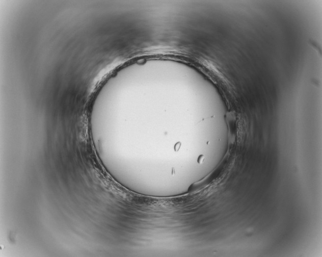 X0000102251358200808151807