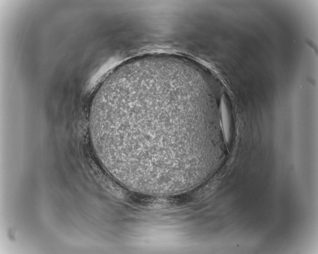 X0000102251359200808151807