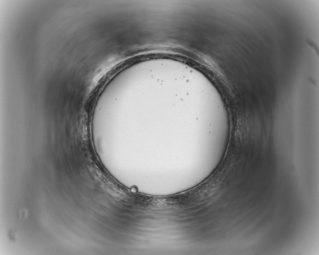 X0000102251360200808151807