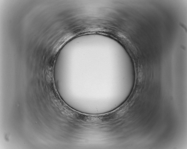 X0000102251361200808151807