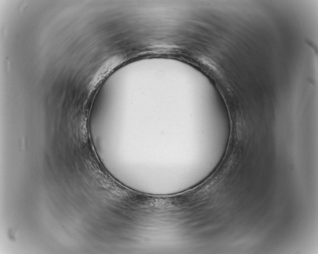 X0000102251362200808151807