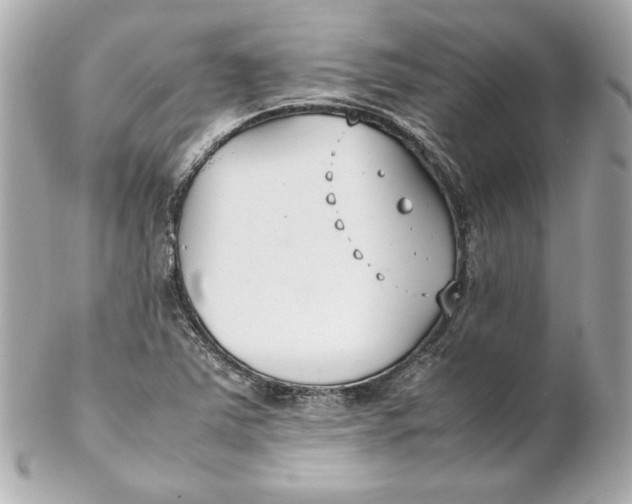 X0000102251363200808151807