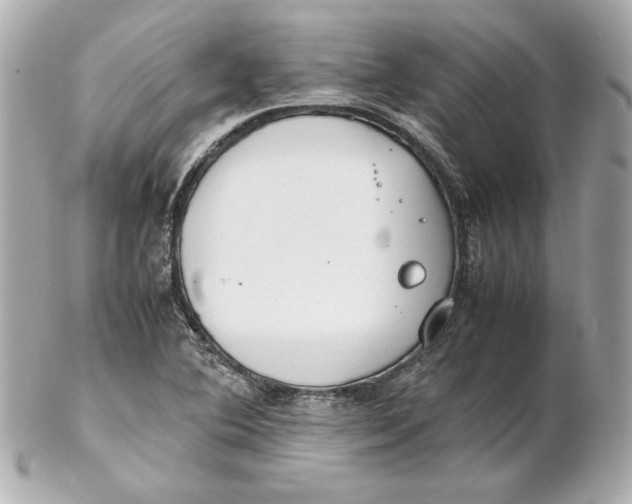 X0000102251364200808151807